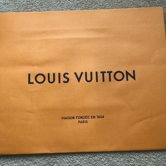 Louis Vuitton Bag - Picture 1 of 1